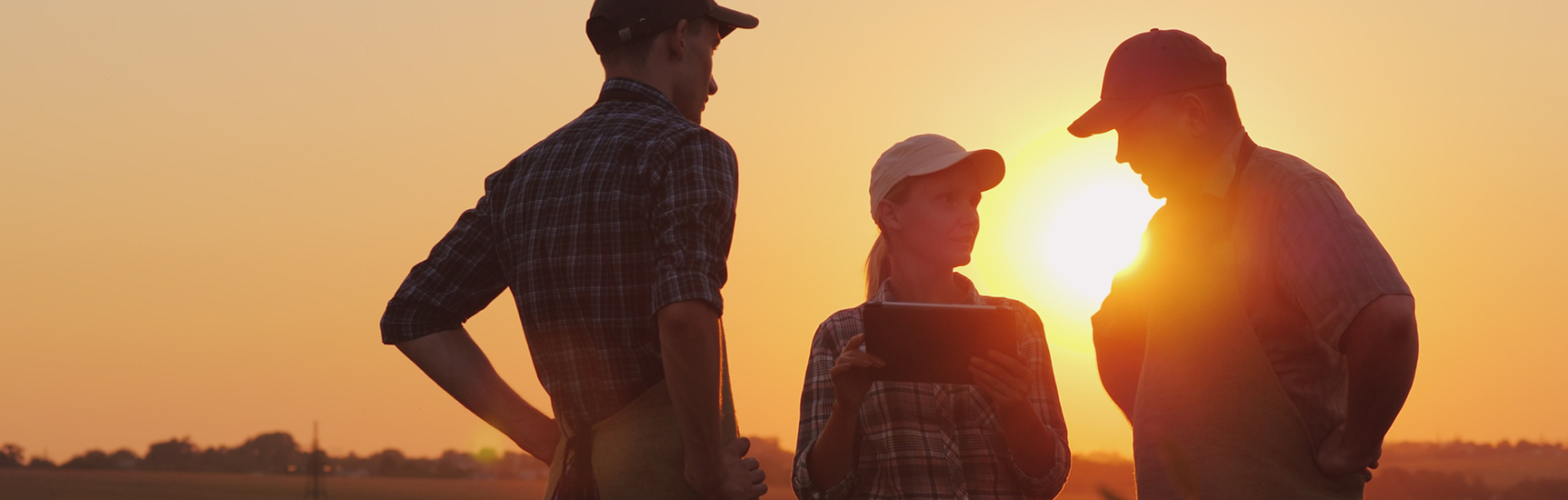 Agriculture apprentice and employer talking business at Sunset